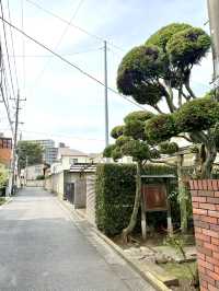 【埼玉県】所沢市の談山神社より勧請した神社