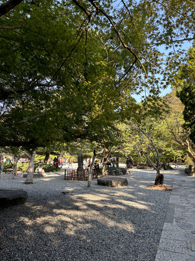 พระใหญ่ kamakura