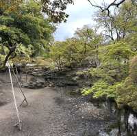 Deer Encounters and Temple Wonders: My Nara Park Adventure!
