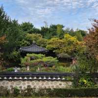일산 호수공원 산책
