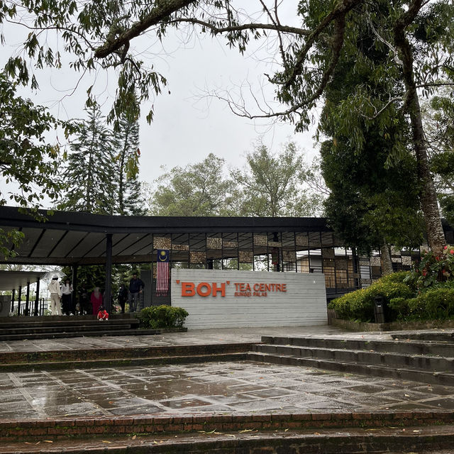 Afternoon tea at a tea plantation 