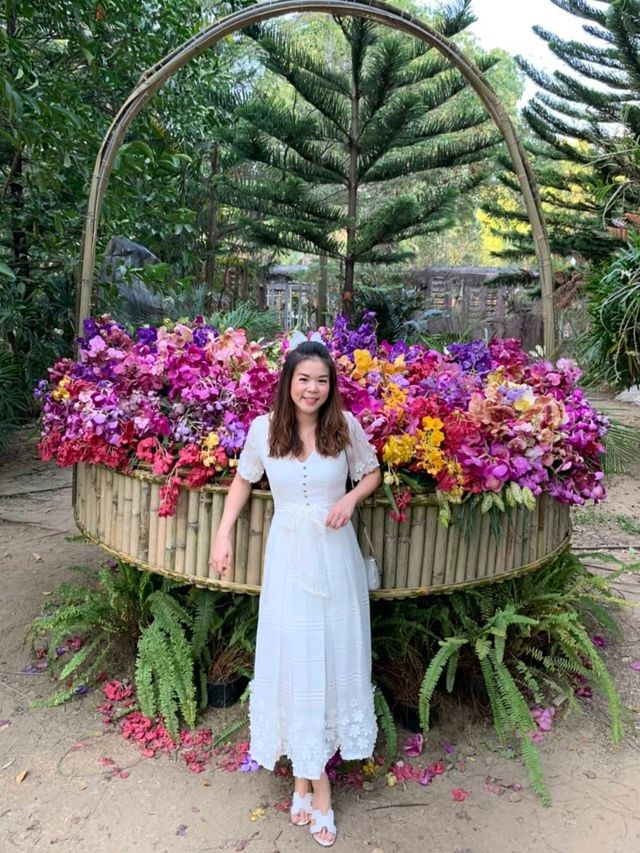 สวนกล้วยไม้สุวรรณภูมิออร์คิด