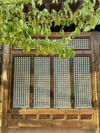 Discovering traditional hanok village with no crowds around 