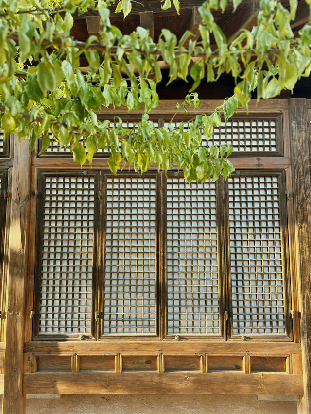 Discovering traditional hanok village with no crowds around 
