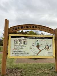 【軽井沢】遊具もターザンロープもある！紅葉が綺麗な緑地公園🍁