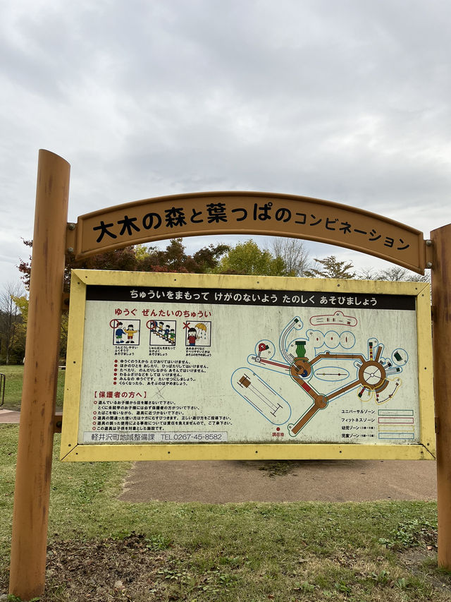 【軽井沢】遊具もターザンロープもある！紅葉が綺麗な緑地公園🍁