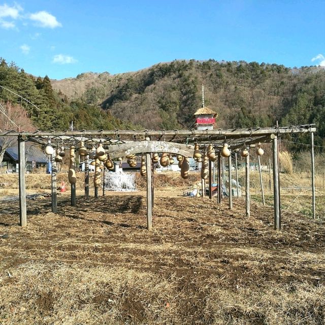 西湖いやしの里根場 東京近郊的合掌村!