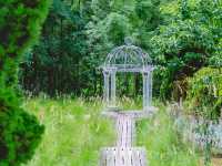 𝑴𝒐𝒓𝒏𝒊𝒏𝒈 𝑮𝒍𝒐𝒓𝒚 สวนผึ้ง ราชบุรี 