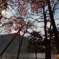 Autumn Splendor at Nami Island