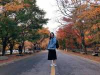 《秋日浪漫🍂：探尋韓國內藏山的紅葉之美🍁》