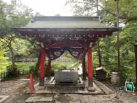 【吉祥寺🇯🇵】井の頭恩賜公園🦢🌳
