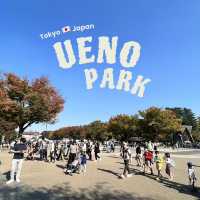 Ueno Park • Tokyo 🇯🇵 Japan