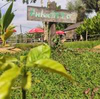 กาแฟกลางธรรมชาติ | โรงคั่วกาแฟ วังน้ำเขียว