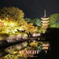 ✨ บรรยากาศสุดฟิน! ชมไฟกลางคืนที่วัดToji, Kyoto✨