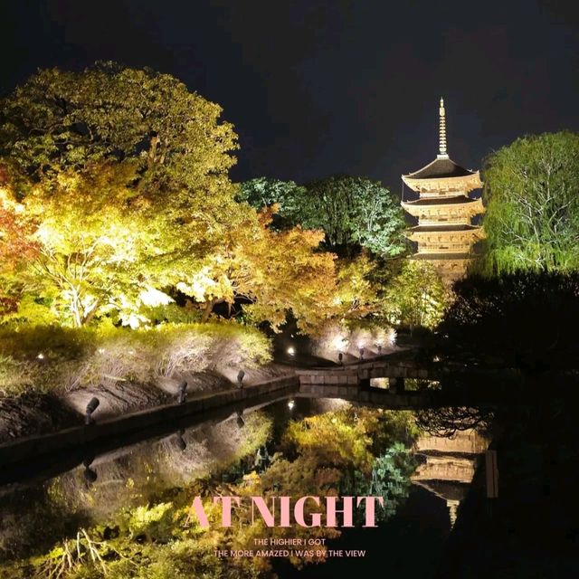 ✨ บรรยากาศสุดฟิน! ชมไฟกลางคืนที่วัดToji, Kyoto✨