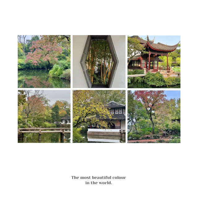 中山仙踪龍園🐉秋色的夢境！🍂🏞️