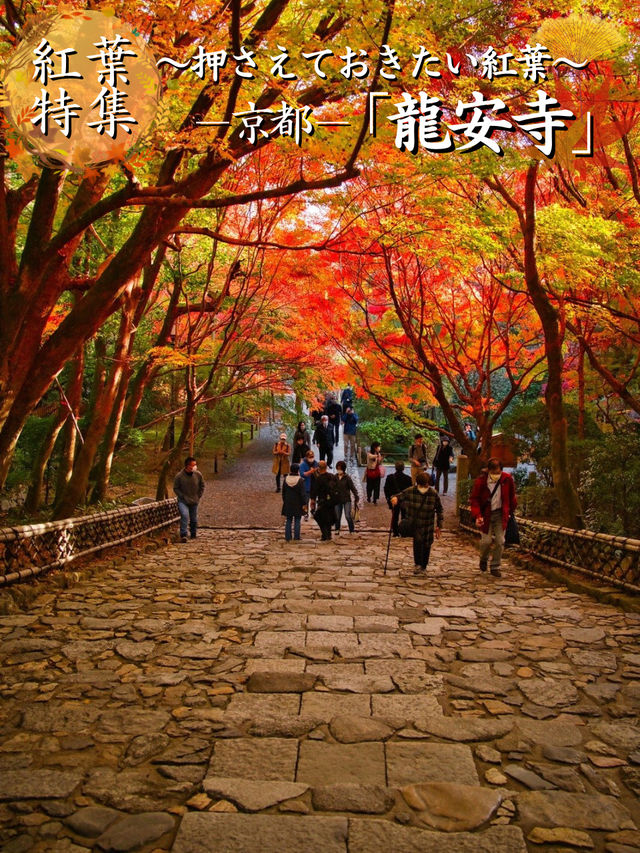 【紅葉特集】世界文化遺産の石庭以外も素敵すぎる✨見応えありの紅葉スポット🍁