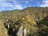 ใบไม้เปลี่ยนสีที่ Naruko Gorge 