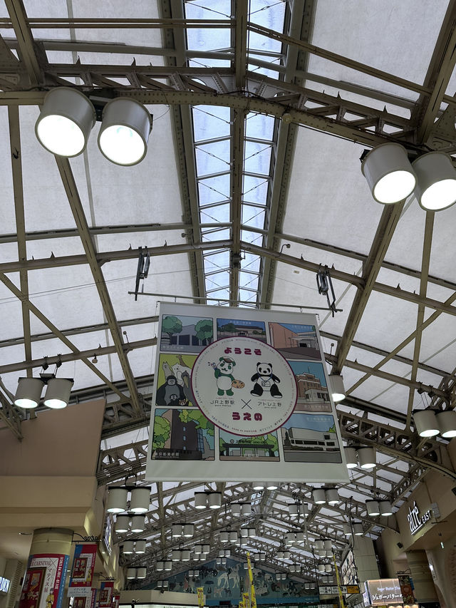 🇯🇵 東京成日機場出發 超美性價比酒店🗼