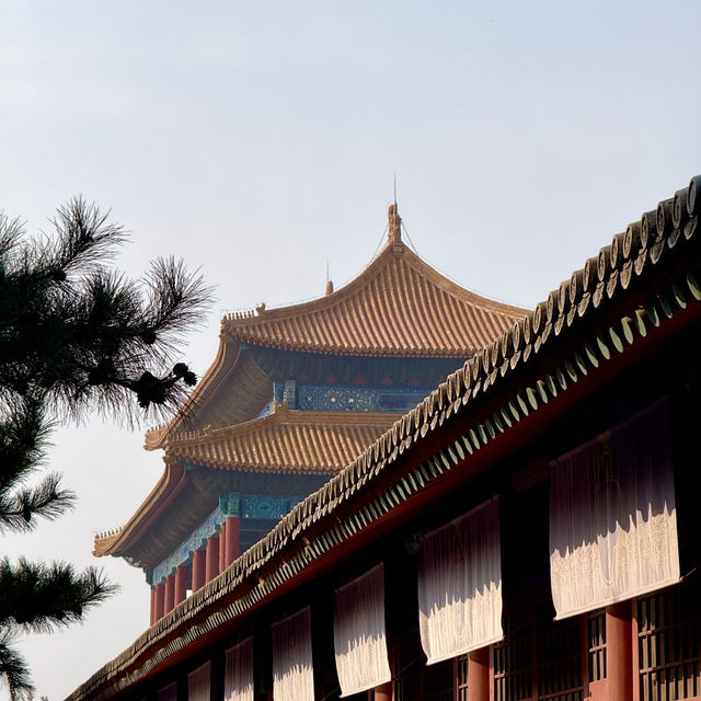 A Walk Through Imperial Majesty: The Palace Museum Experience