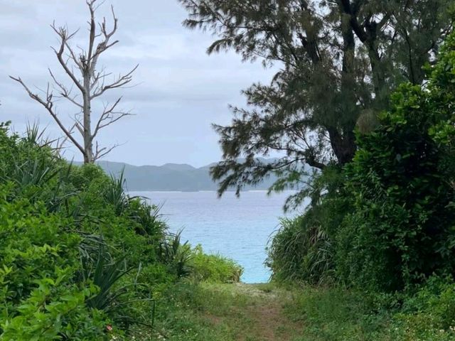 【沖縄】座間味島