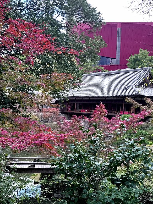 【北九州旅行】 小倉城庭園アフタヌーンティー