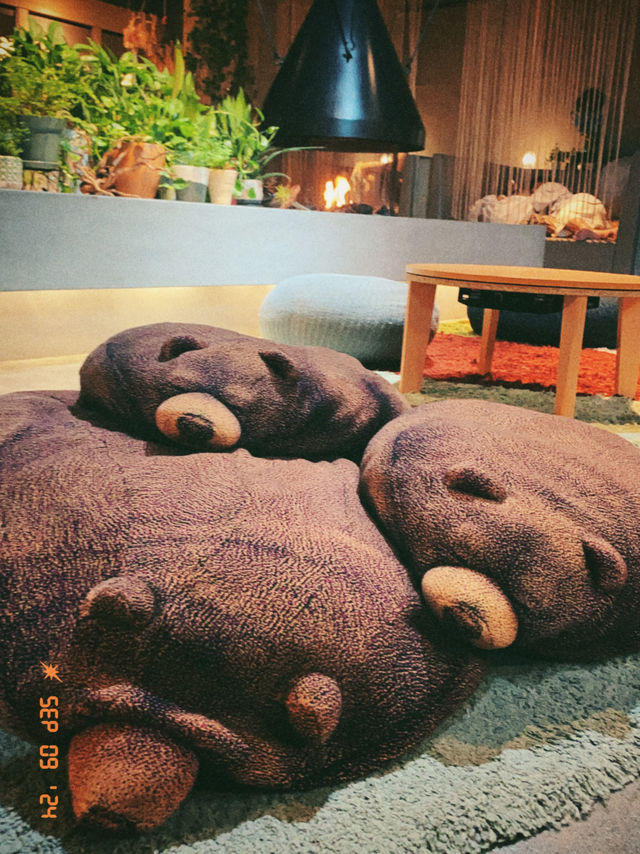デートにも1人時間にも⭕️おふろcafeハレニワの湯で最高の癒しを！
