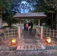 弘前城渡船賞夜楓，燈火楓紅醉是浪漫