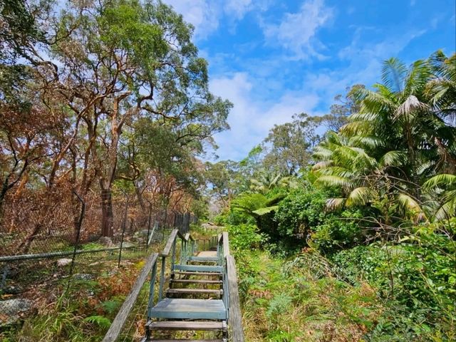 Scenic Drive Along Middle Head Road
