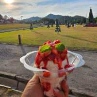 After You Dairy Farm เขาใหญ่