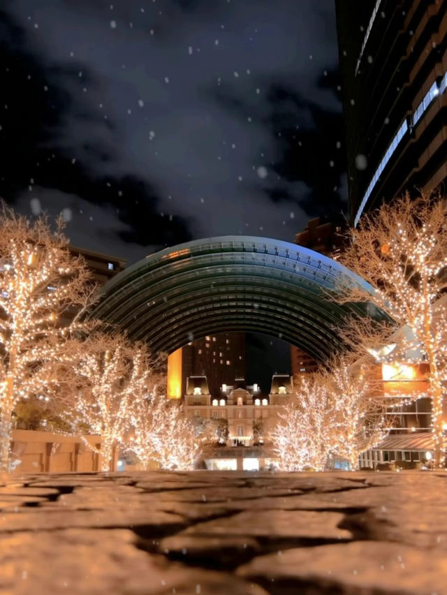 【恵比寿】まるでヨーロッパなクリスマスイルミネーション