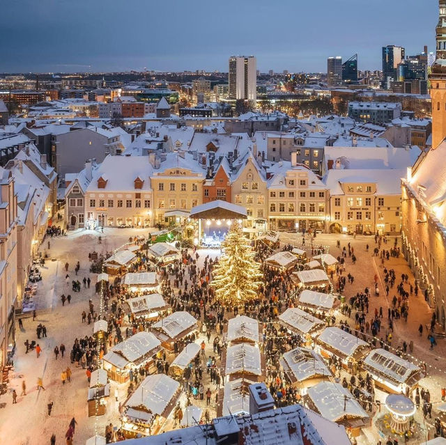 Tallinn is getting ready for Christmas! 🌲