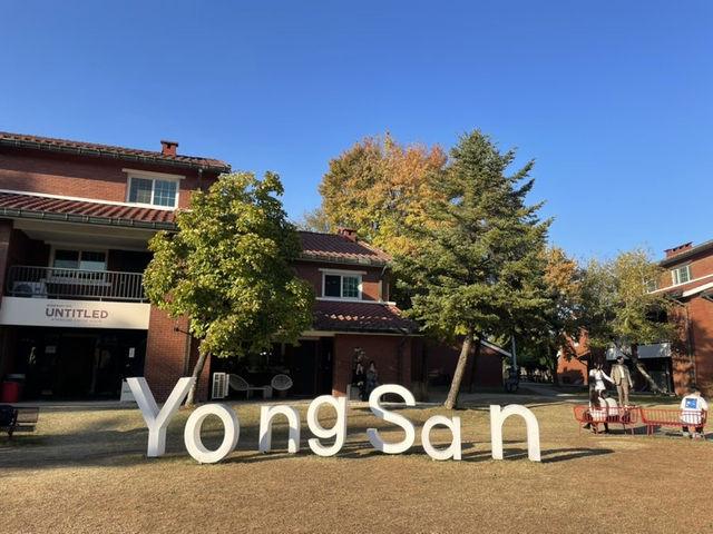 크리스마스 분위기, 사진찍기 좋은 용산공원 부분개방부지❤️