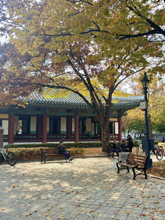고즈넉한 분위기에서 가을을 느끼기 좋은 경상감영공원🤍