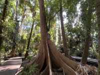 วังนาคินทร์ (ป่าคำชะโนด ) 