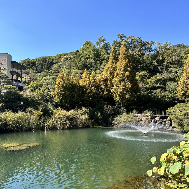 서울 근교 최고의 힐링 자연 스팟 화담숲🌳