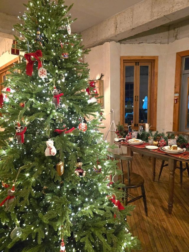 대형트리와 분수가 있는 거제 유럽감성카페🎄