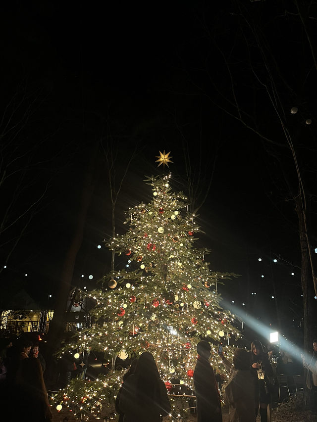 【軽井沢町🇯🇵】入園無料！駐車場無料！幻想的な空感のイルミネーション🎄