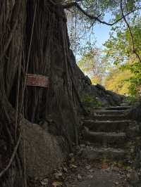 Heaven Valley: one day trip from Bangkok