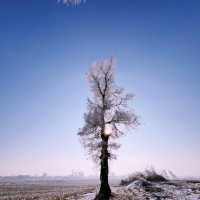 Winter Beauty of Jilin