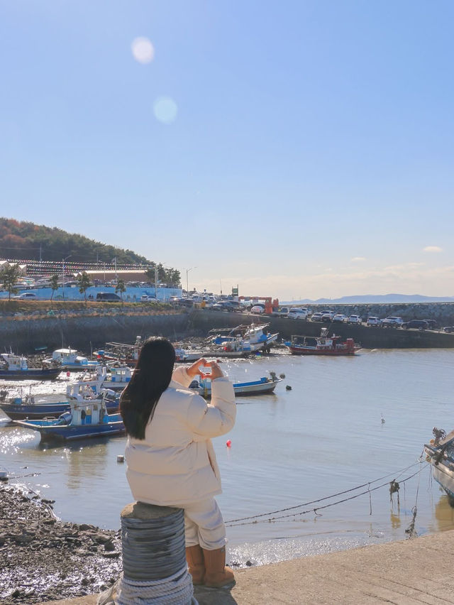 바다부터 체험까지, 겨울에 더 즐거운 보령여행🌊❄️🩵