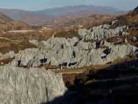 Flaring Rock Forest [Moshi Park in Autumn]