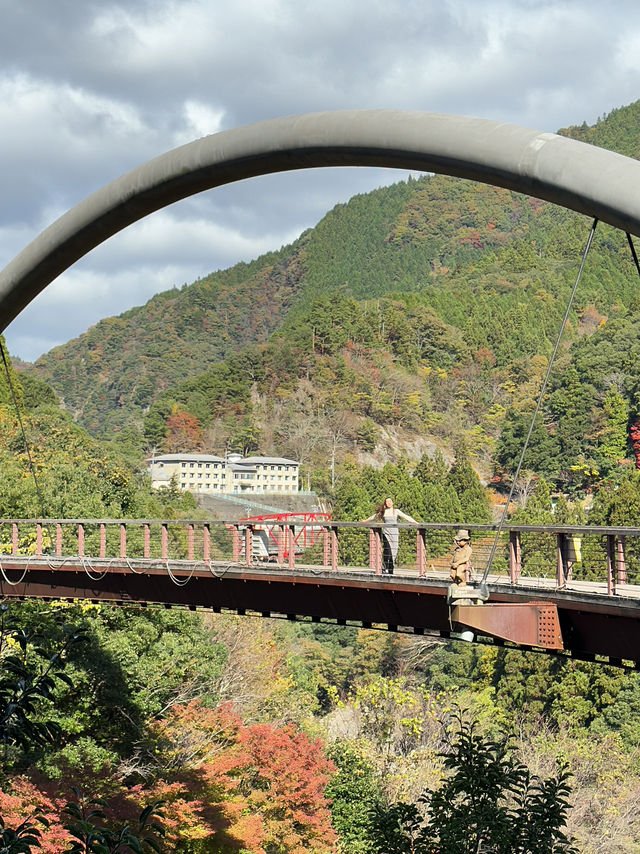 充滿刺激的樹頂運動場🏟️