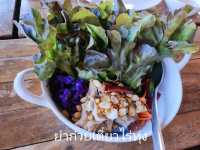 พาไปทานอาหาร Organic ในอำเภอเทิง จังหวัดเชียงราย
