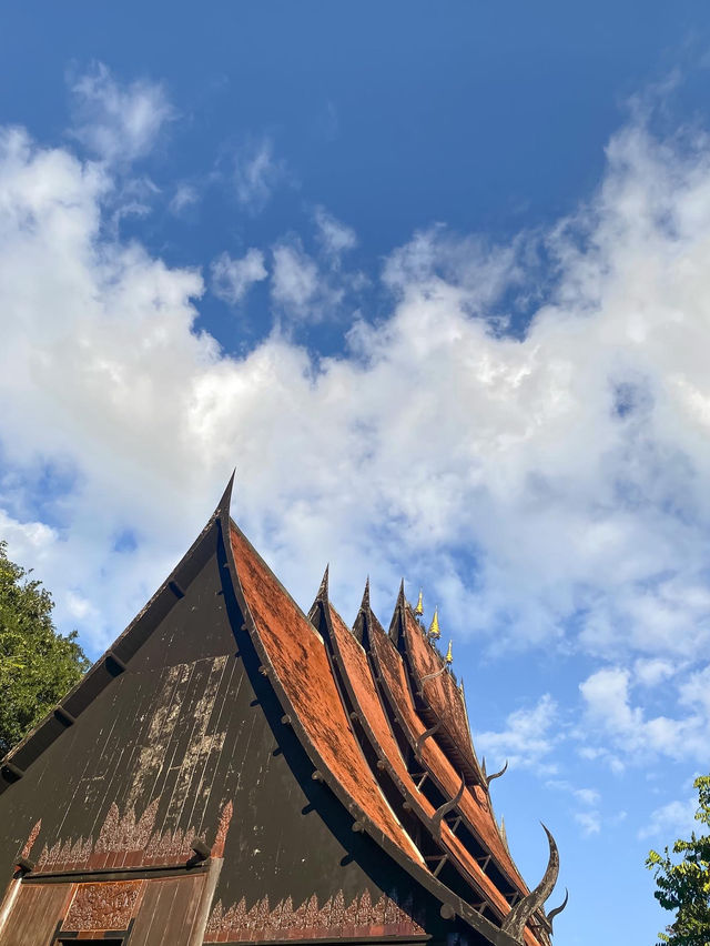 รีวิวพิพิธภัณฑ์บ้านดำ เชียงราย :สายอาร์ตอย่าพลาด