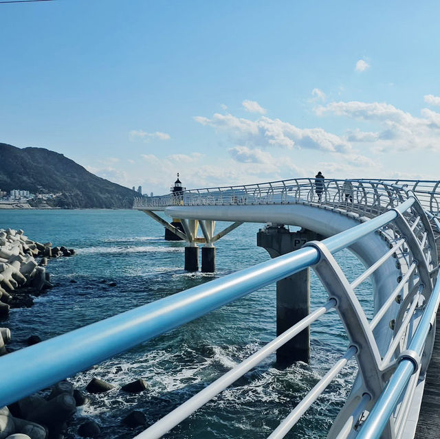 A Thrill Above the Sea at Songdo Cloud Walk 🇰🇷