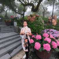 บานาฮิลล์ เมืองเเห่งสายหมอก 