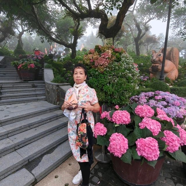 บานาฮิลล์ เมืองเเห่งสายหมอก 