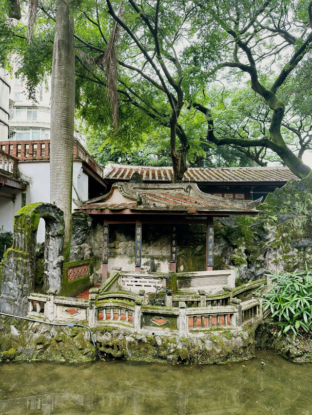 도심 속 옛 정취를 느낄 수 있는 임가화원 🏮✨