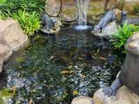 River Wonders